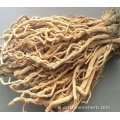 Root chất lượng hàng đầu